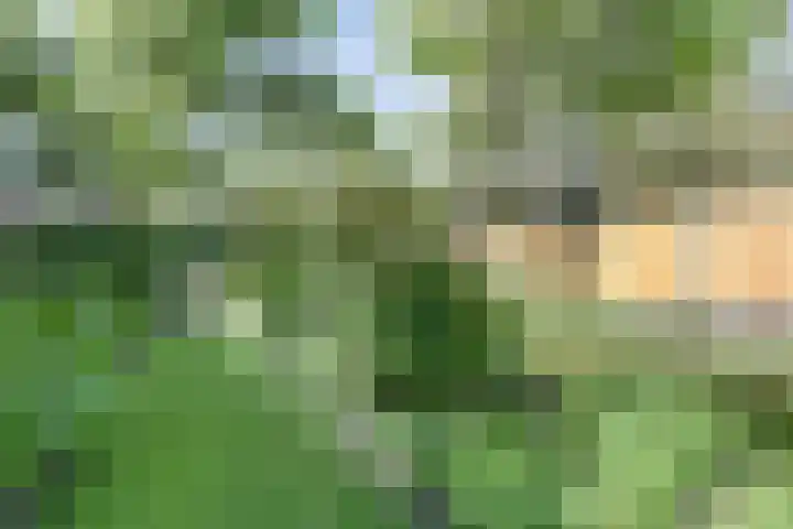 Salvialaan 53 Oegstgeest thumbnail 51