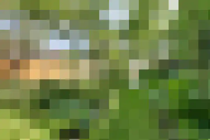 Salvialaan 53 Oegstgeest thumbnail 52