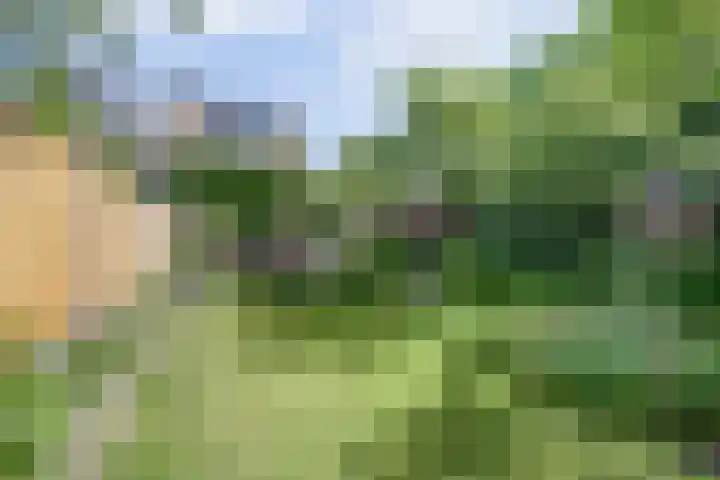 Salvialaan 53 Oegstgeest thumbnail 53