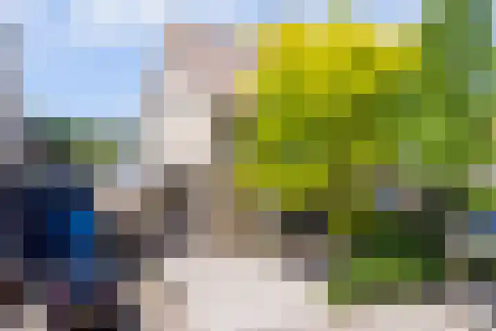 Salvialaan 53 Oegstgeest thumbnail 55