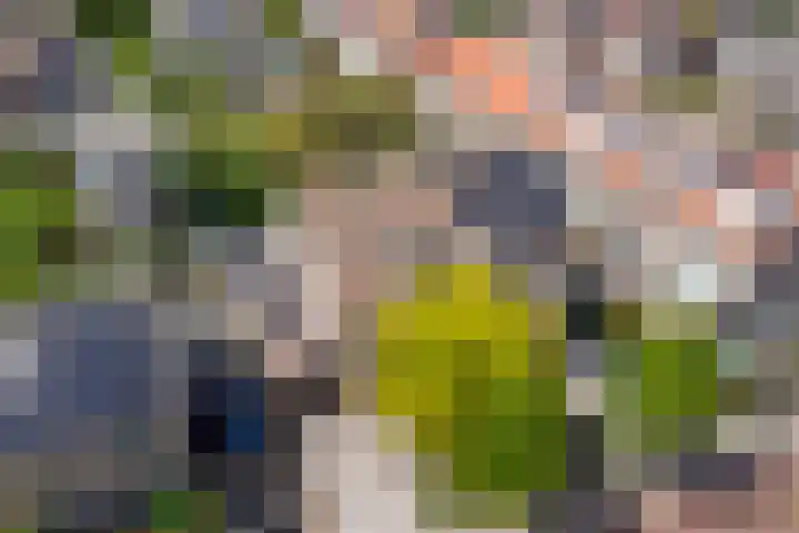 Salvialaan 53 Oegstgeest thumbnail 56