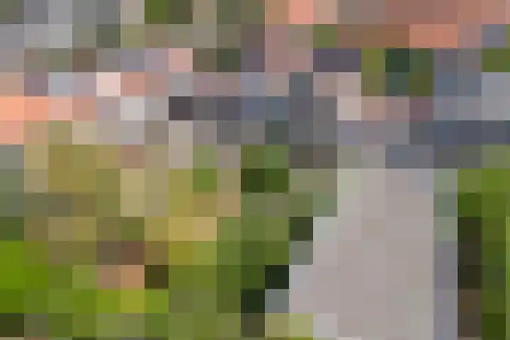 Salvialaan 53 Oegstgeest thumbnail 57