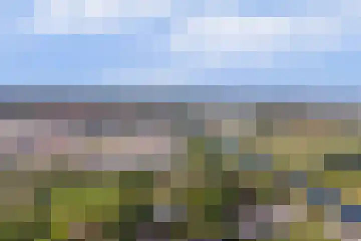 Salvialaan 53 Oegstgeest thumbnail 58