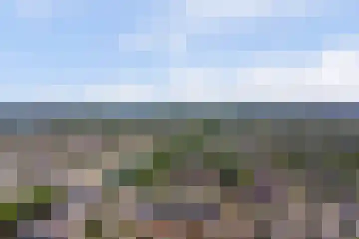 Salvialaan 53 Oegstgeest thumbnail 59