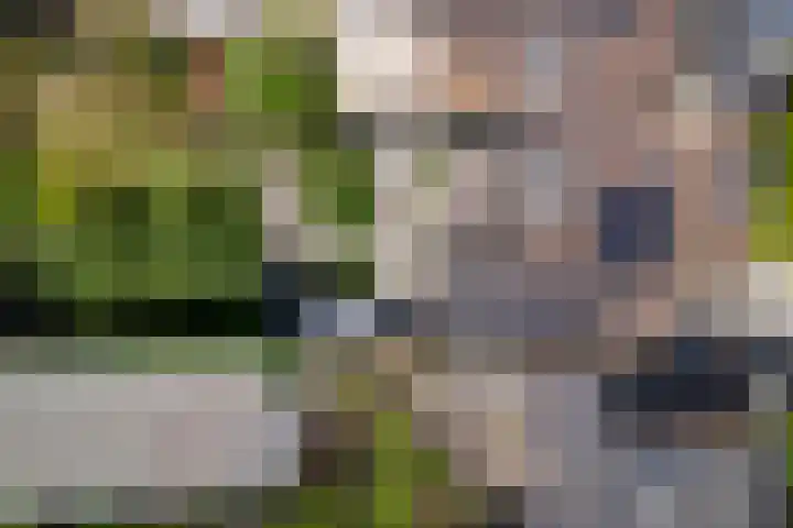 Salvialaan 53 Oegstgeest thumbnail 60