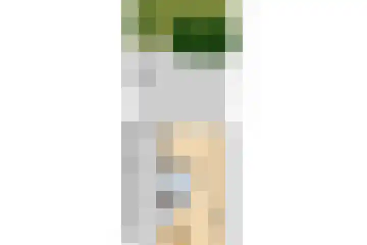 Salvialaan 53 Oegstgeest thumbnail 61