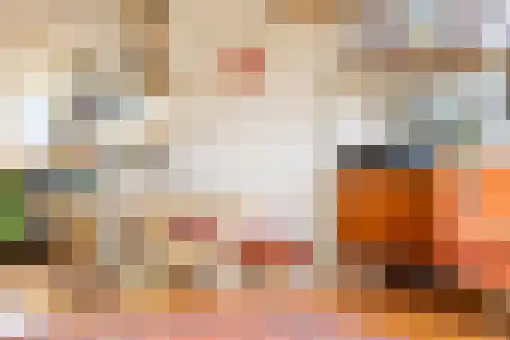 Salvialaan 6 Winsum thumbnail 14