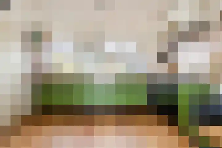 Salvialaan 6 Winsum thumbnail 20