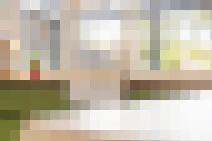 Salvialaan 6 Winsum thumbnail 22