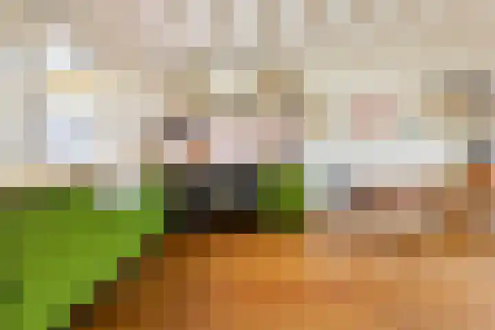 Salvialaan 6 Winsum thumbnail 23