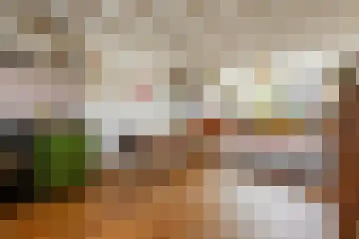 Salvialaan 6 Winsum thumbnail 25