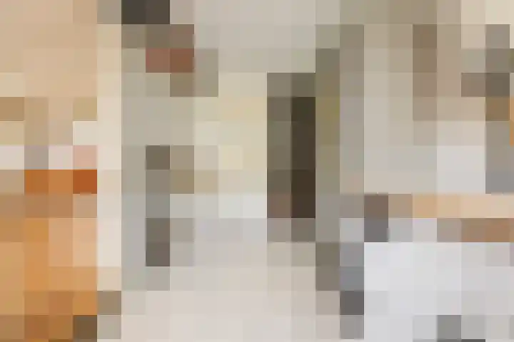 Salvialaan 6 Winsum thumbnail 26