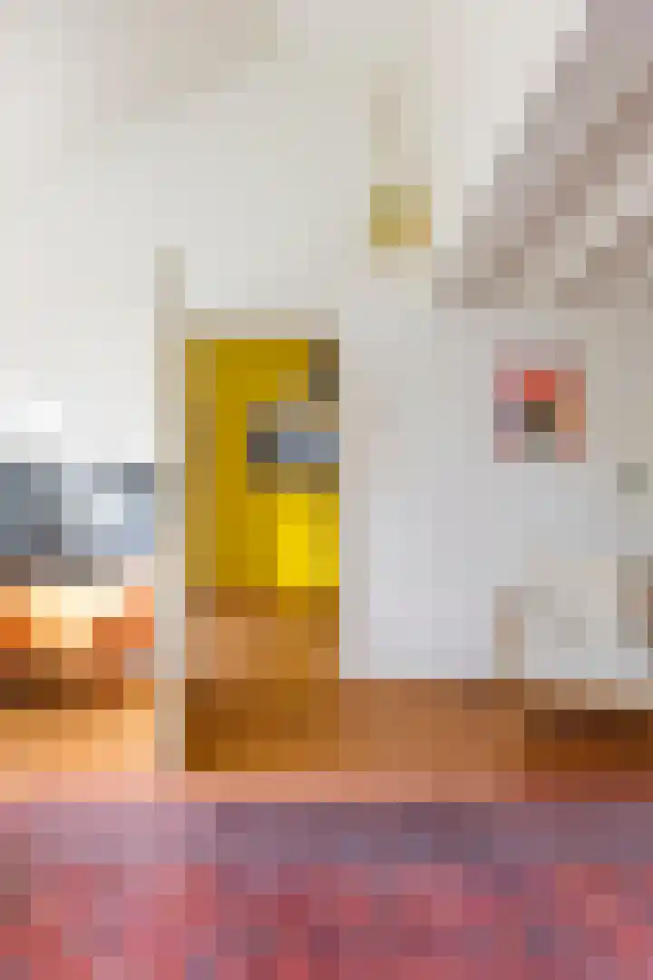 Salvialaan 6 Winsum thumbnail 28