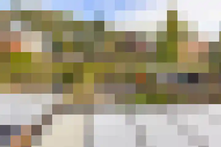 Salvialaan 6 Winsum thumbnail 40