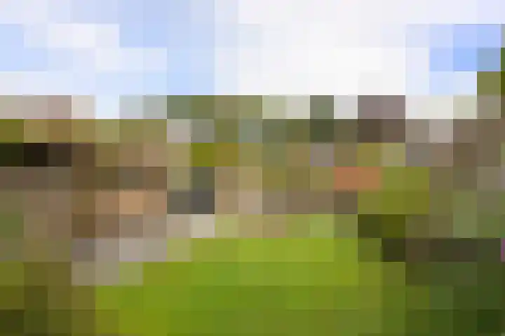 Salvialaan 6 Winsum thumbnail 43