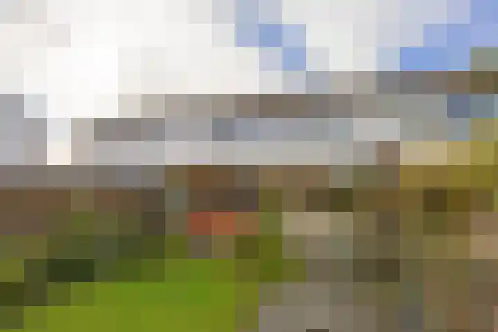 Salvialaan 6 Winsum thumbnail 44