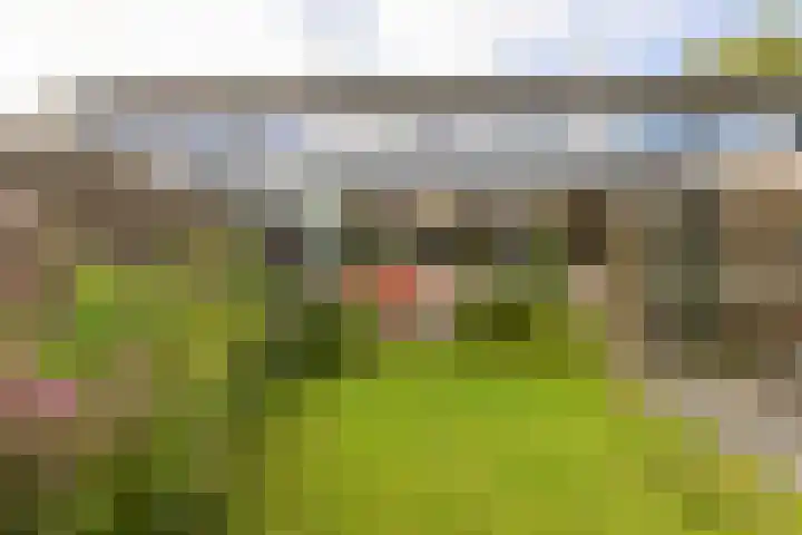 Salvialaan 6 Winsum thumbnail 45