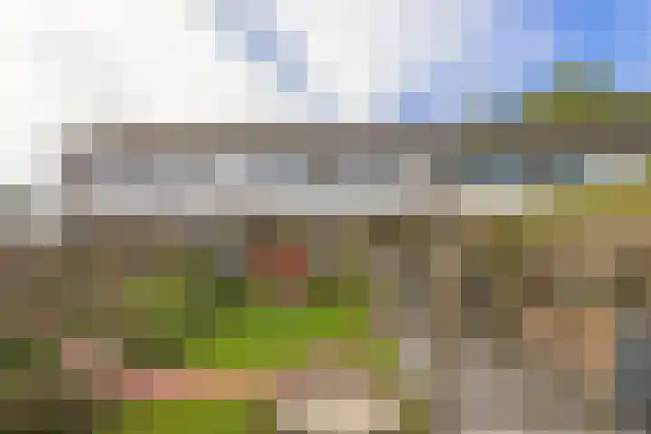 Salvialaan 6 Winsum thumbnail 46