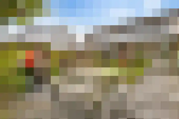 Salvialaan 6 Winsum thumbnail 47