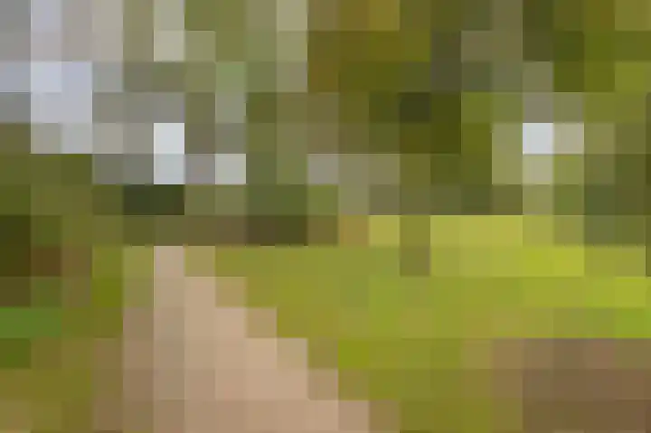 Salvialaan 6 Winsum thumbnail 49