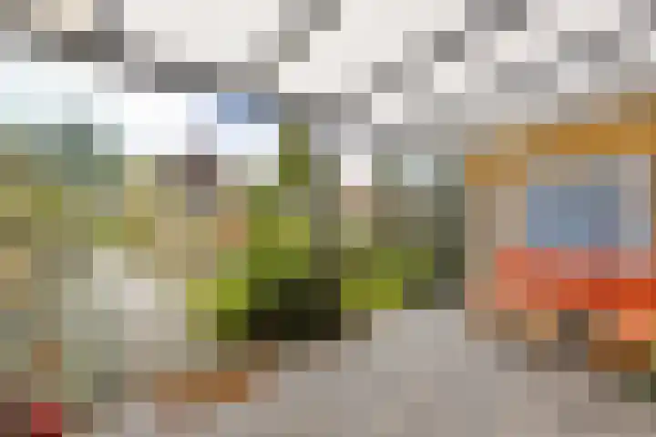 Salvialaan 6 Winsum thumbnail 5