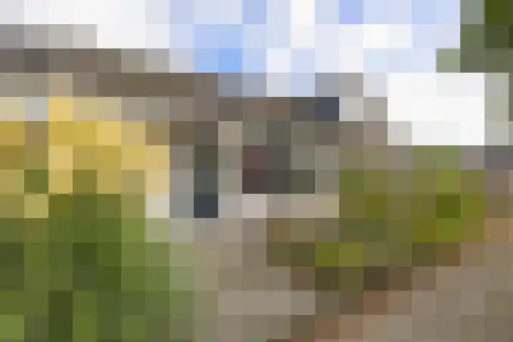 Salvialaan 6 Winsum thumbnail 6