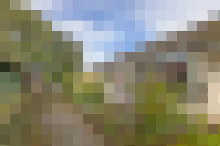 Salvialaan 6 Winsum thumbnail 8