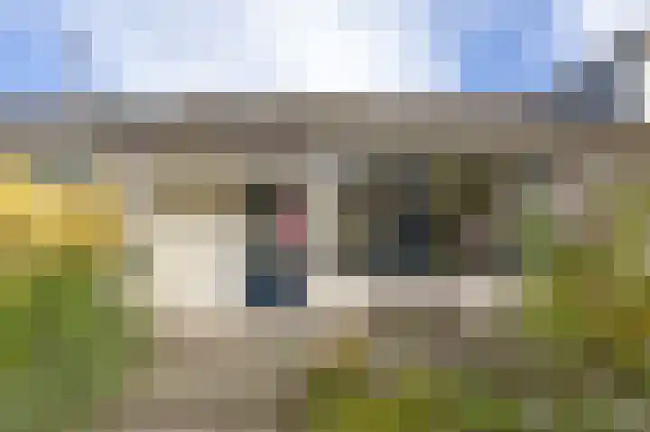 Salvialaan 6 Winsum thumbnail 9