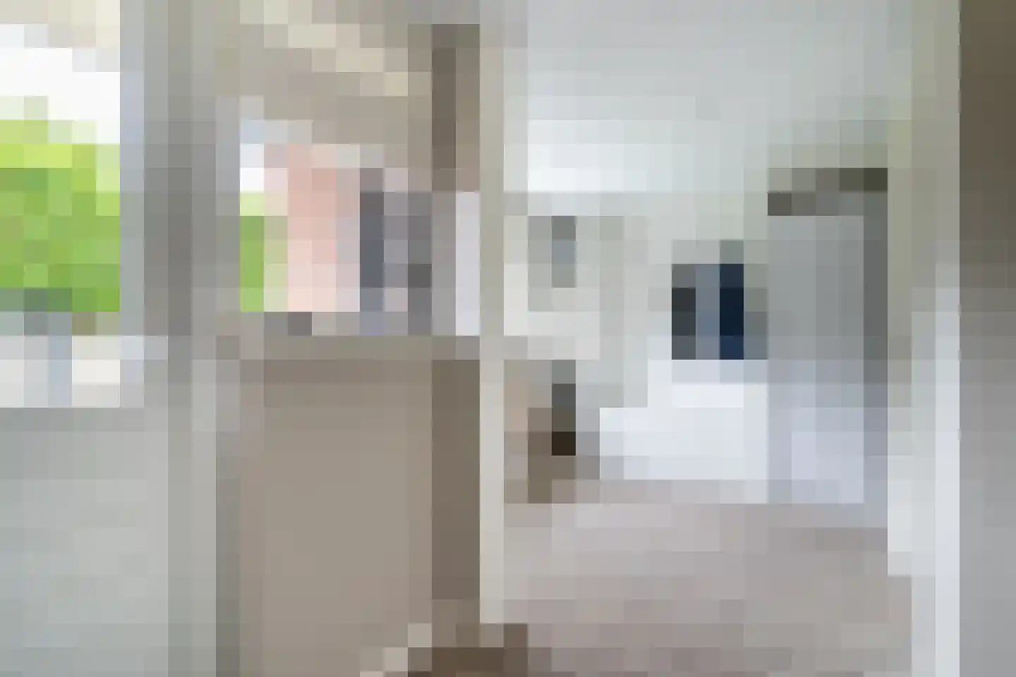 Salviastraat 1 Oldebroek thumbnail 21