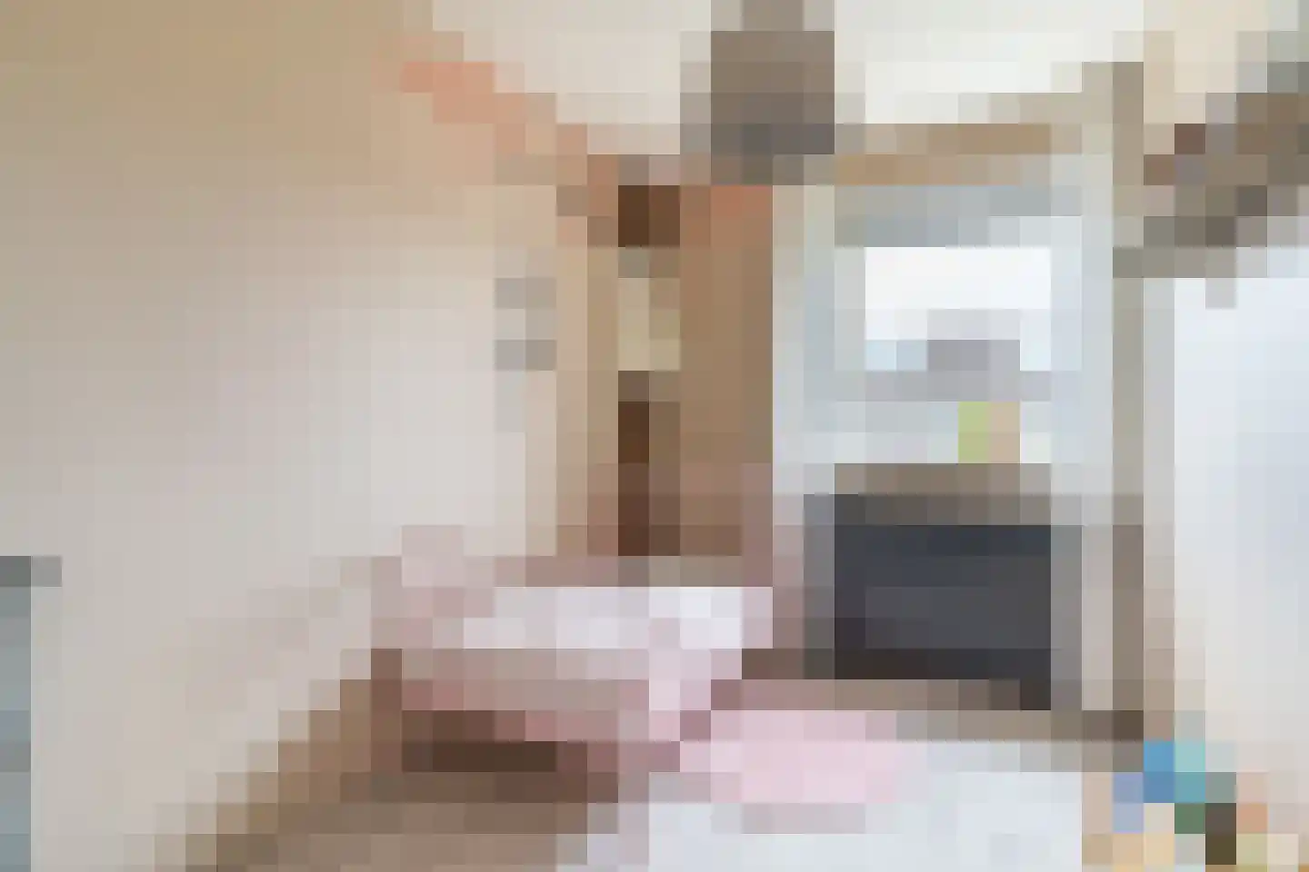 Salviastraat 1 Oldebroek thumbnail 27