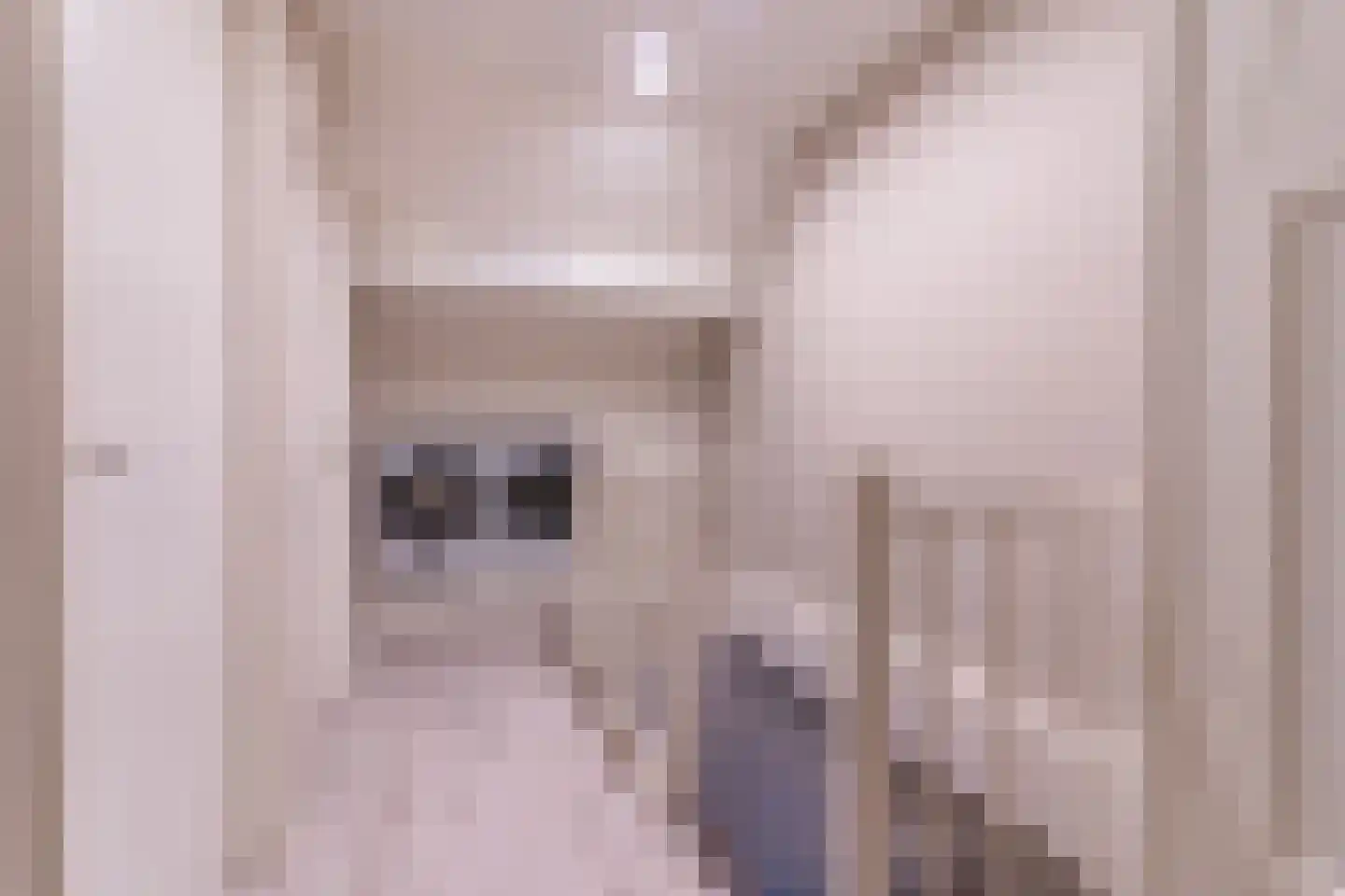 Salviastraat 1 Oldebroek thumbnail 30