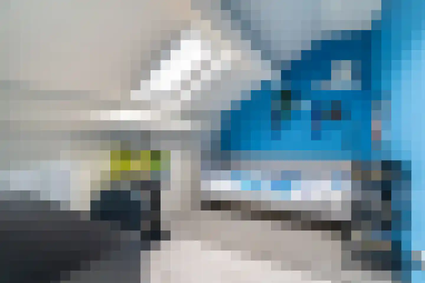 Salviastraat 1 Oldebroek thumbnail 31