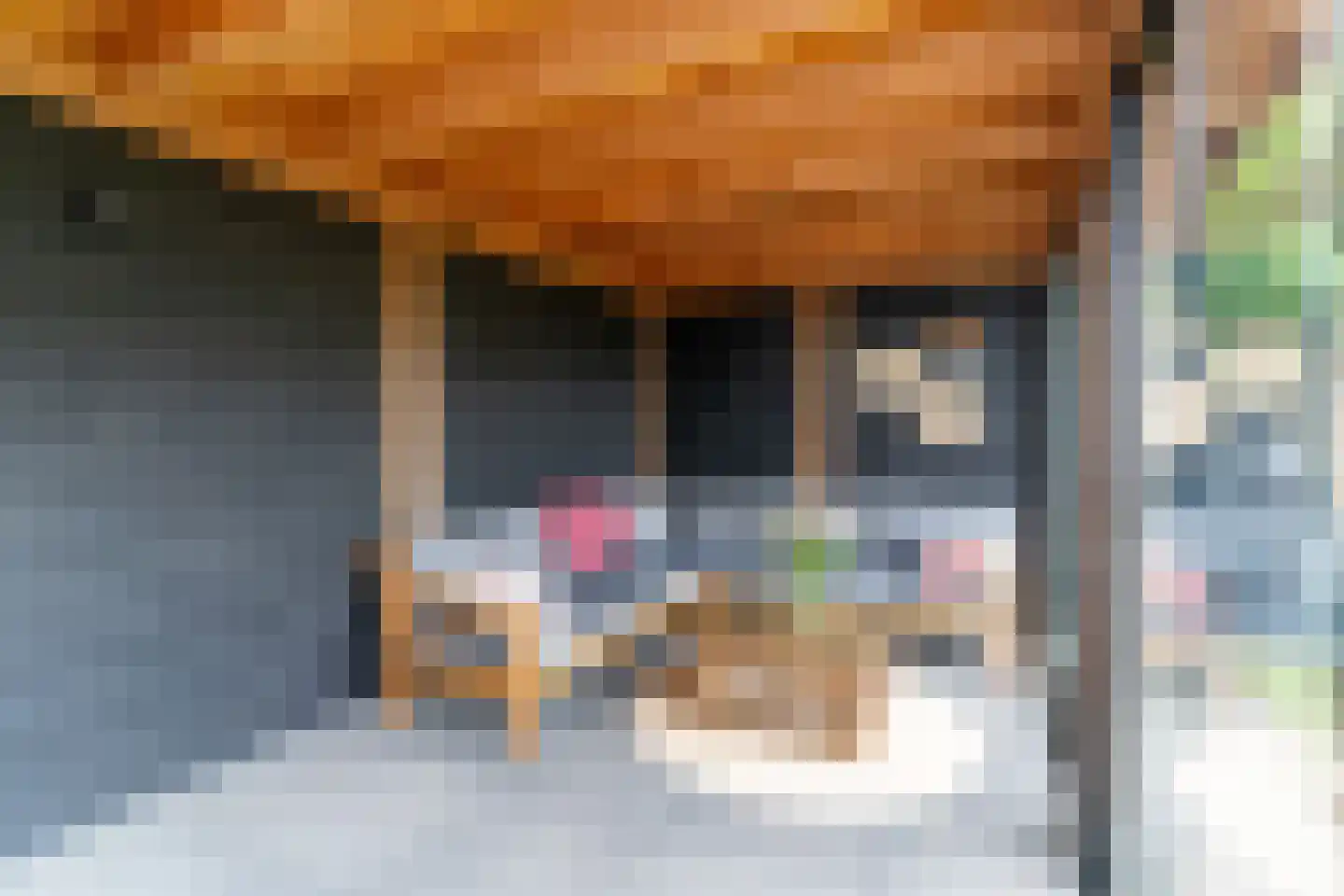 Salviastraat 1 Oldebroek thumbnail 37