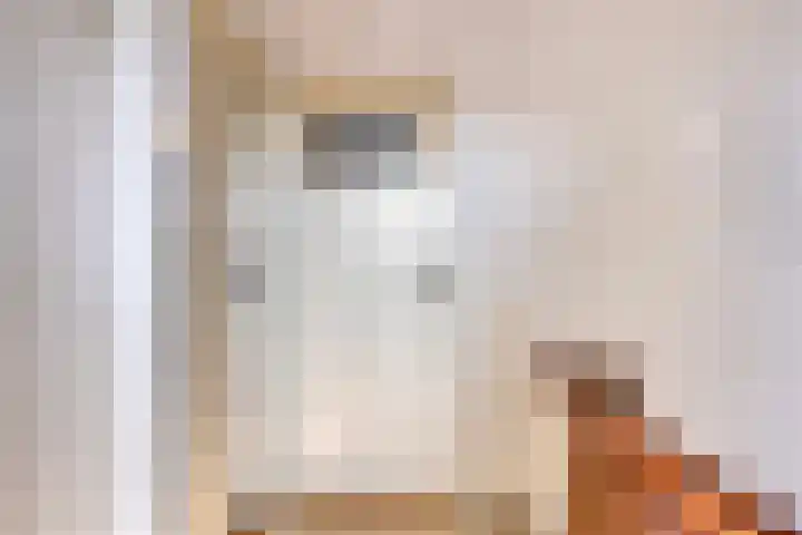 Salviastraat 17 Dongen thumbnail 15