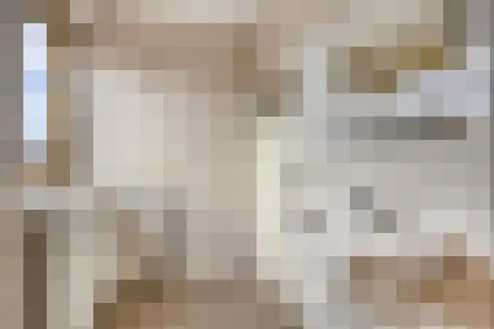 Salviastraat 17 Dongen thumbnail 17