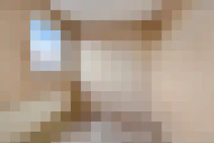 Salviastraat 17 Dongen thumbnail 18