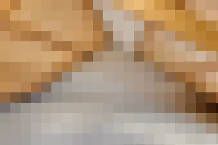 Salviastraat 17 Dongen thumbnail 22