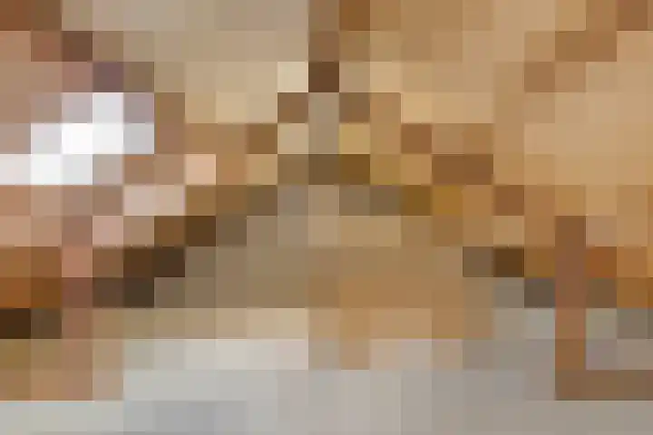 Salviastraat 17 Dongen thumbnail 23