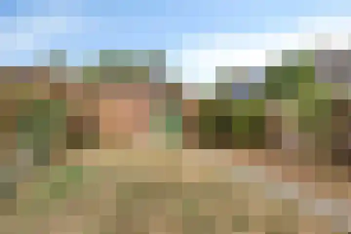 Salviastraat 17 Dongen thumbnail 24