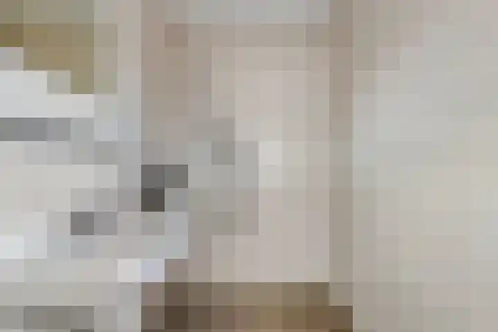 Salviastraat 17 Dongen thumbnail 5