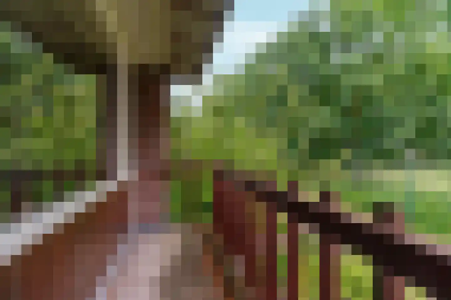 Salviastraat 22 Sint-Oedenrode thumbnail 23