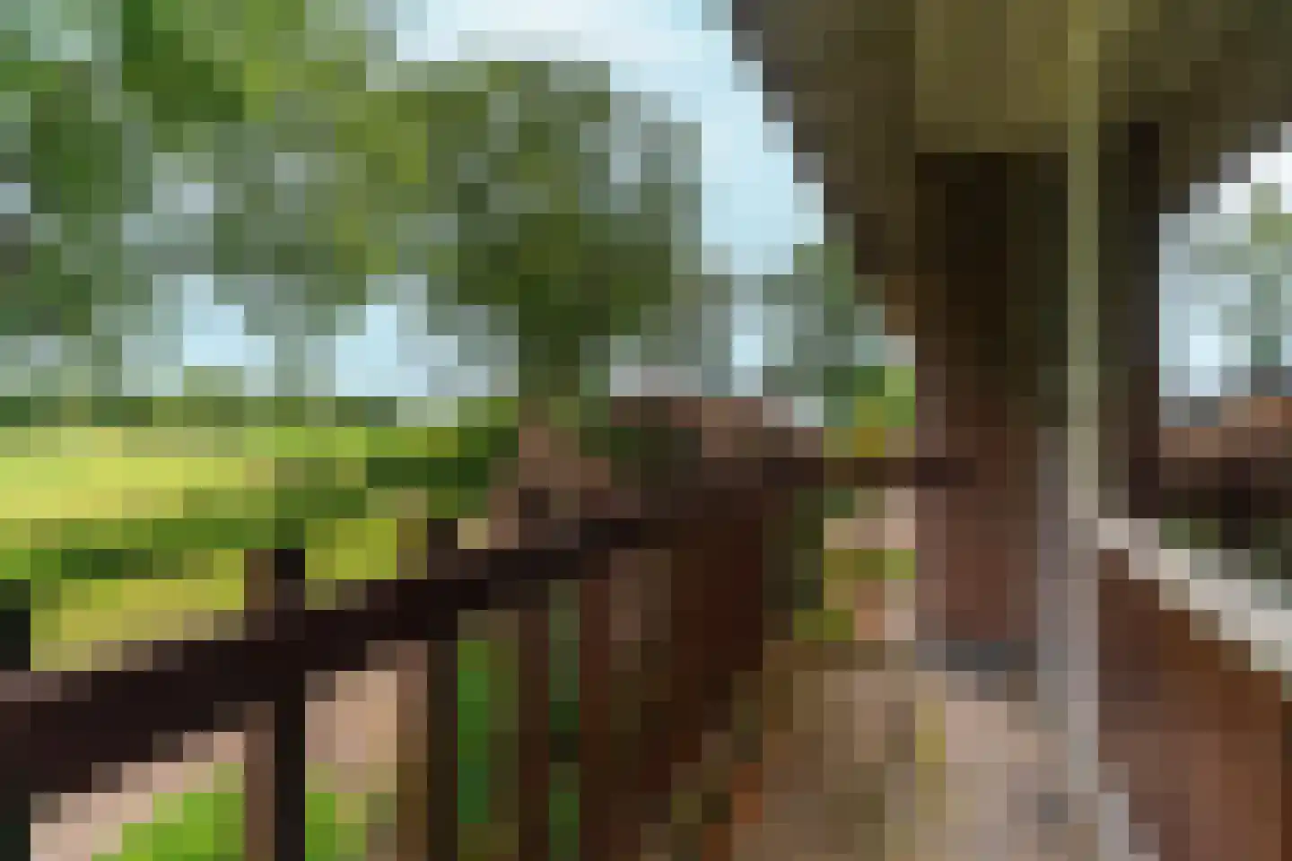 Salviastraat 22 Sint-Oedenrode thumbnail 24