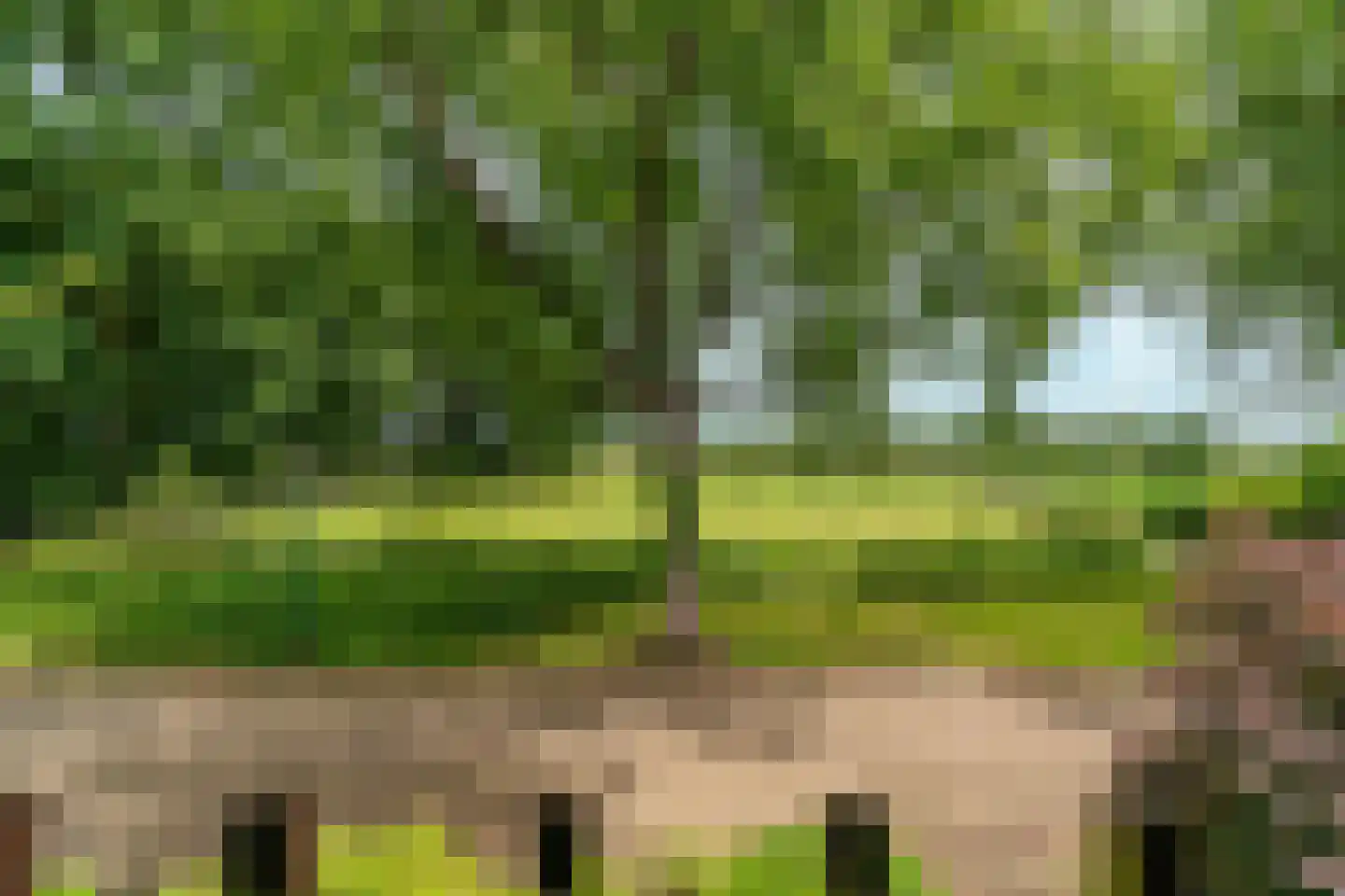 Salviastraat 22 Sint-Oedenrode thumbnail 25