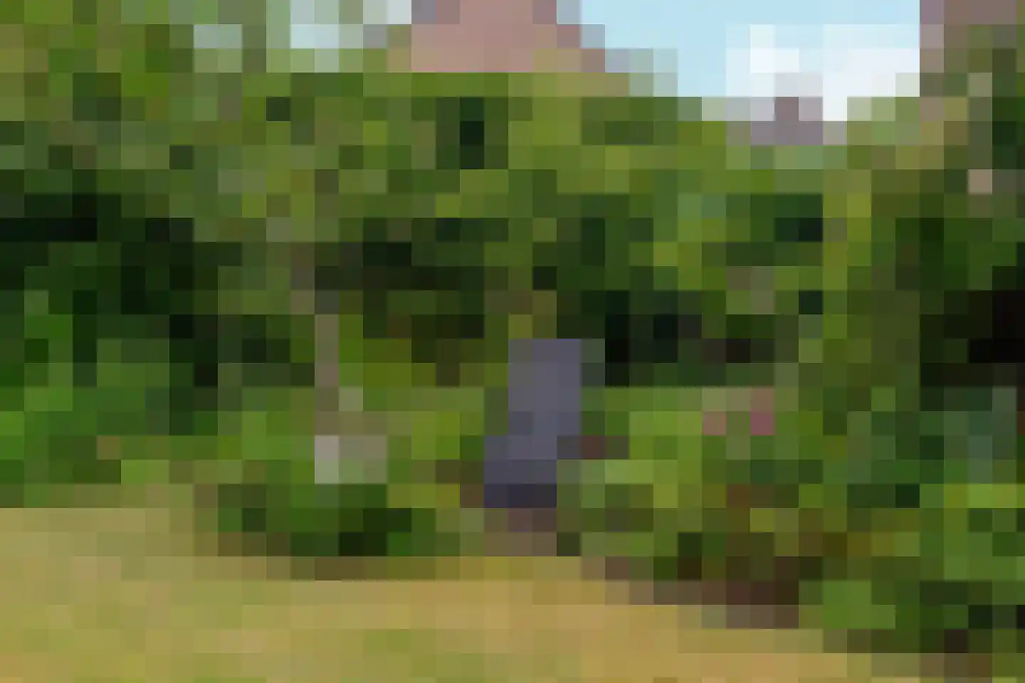 Salviastraat 22 Sint-Oedenrode thumbnail 34