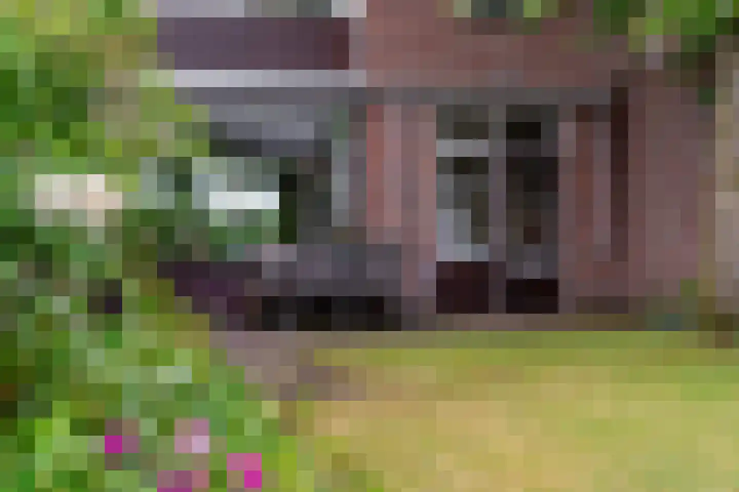 Salviastraat 22 Sint-Oedenrode thumbnail 35
