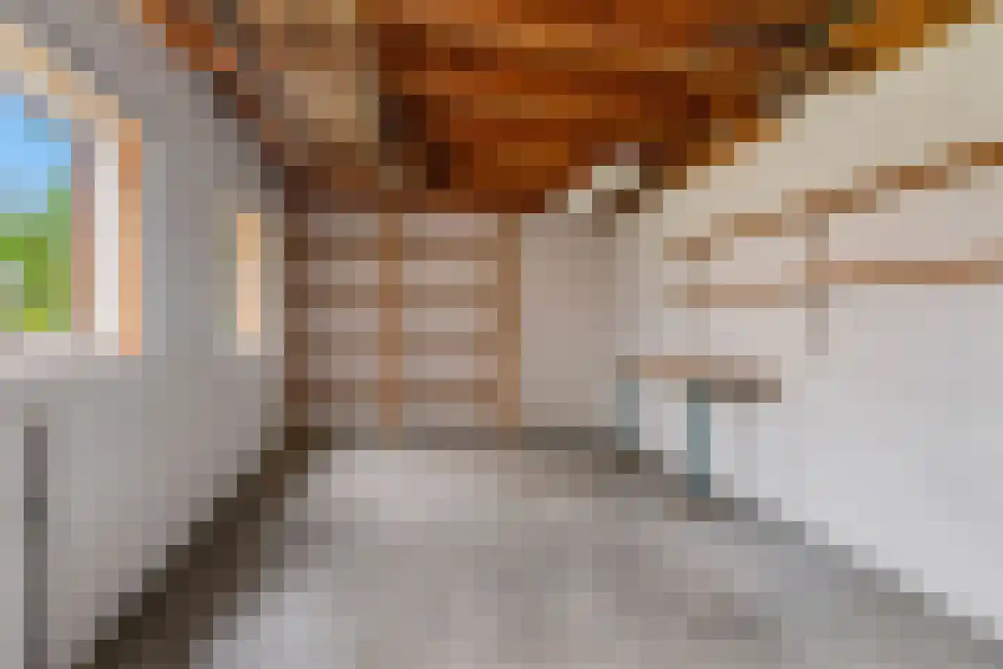 Salviastraat 22 Sint-Oedenrode thumbnail 39
