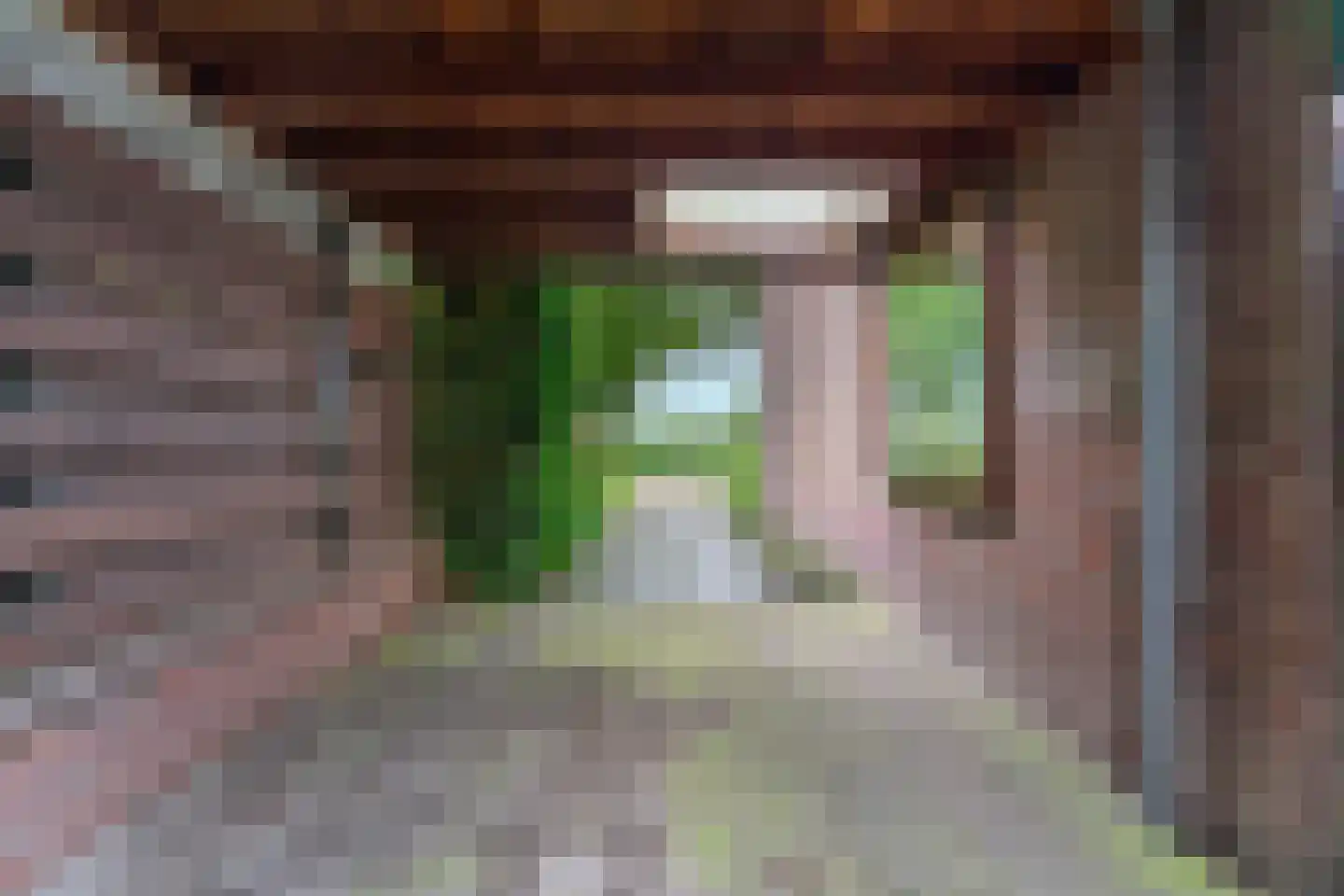 Salviastraat 22 Sint-Oedenrode thumbnail 40