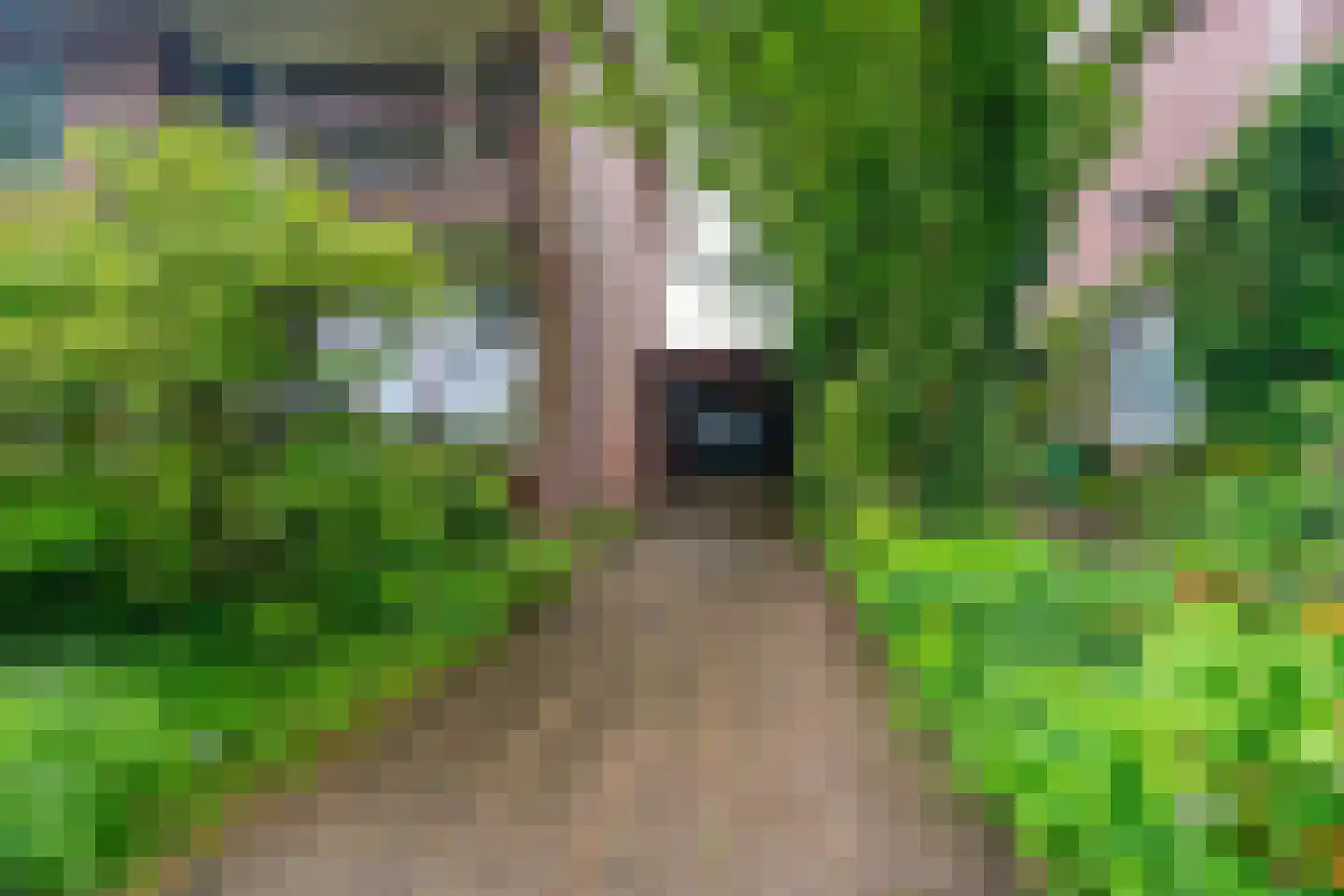 Salviastraat 22 Sint-Oedenrode thumbnail 41