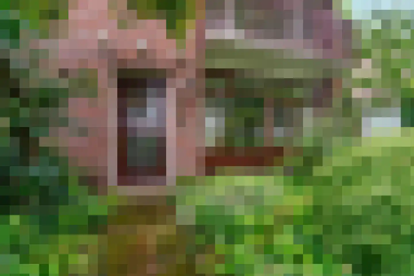 Salviastraat 22 Sint-Oedenrode thumbnail 42