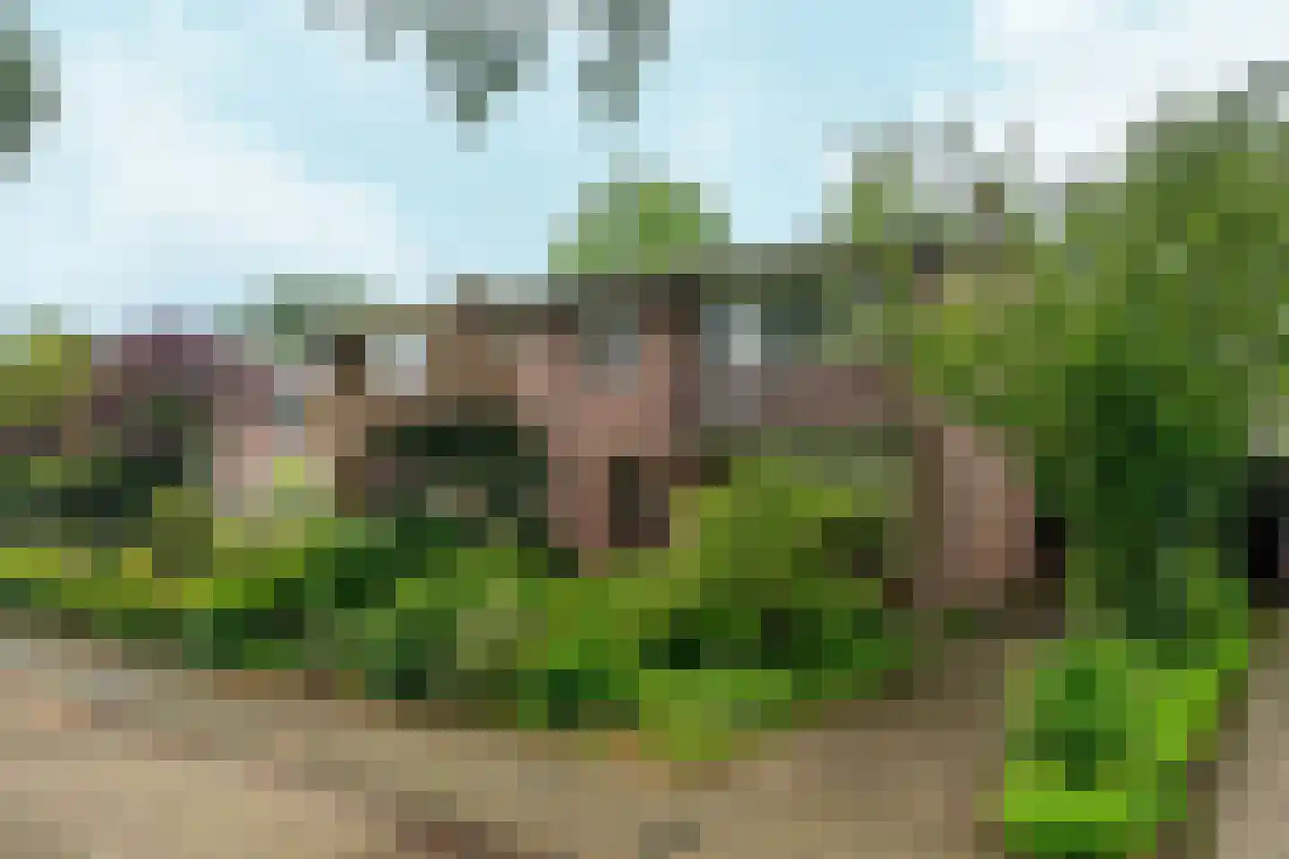 Salviastraat 22 Sint-Oedenrode thumbnail 43